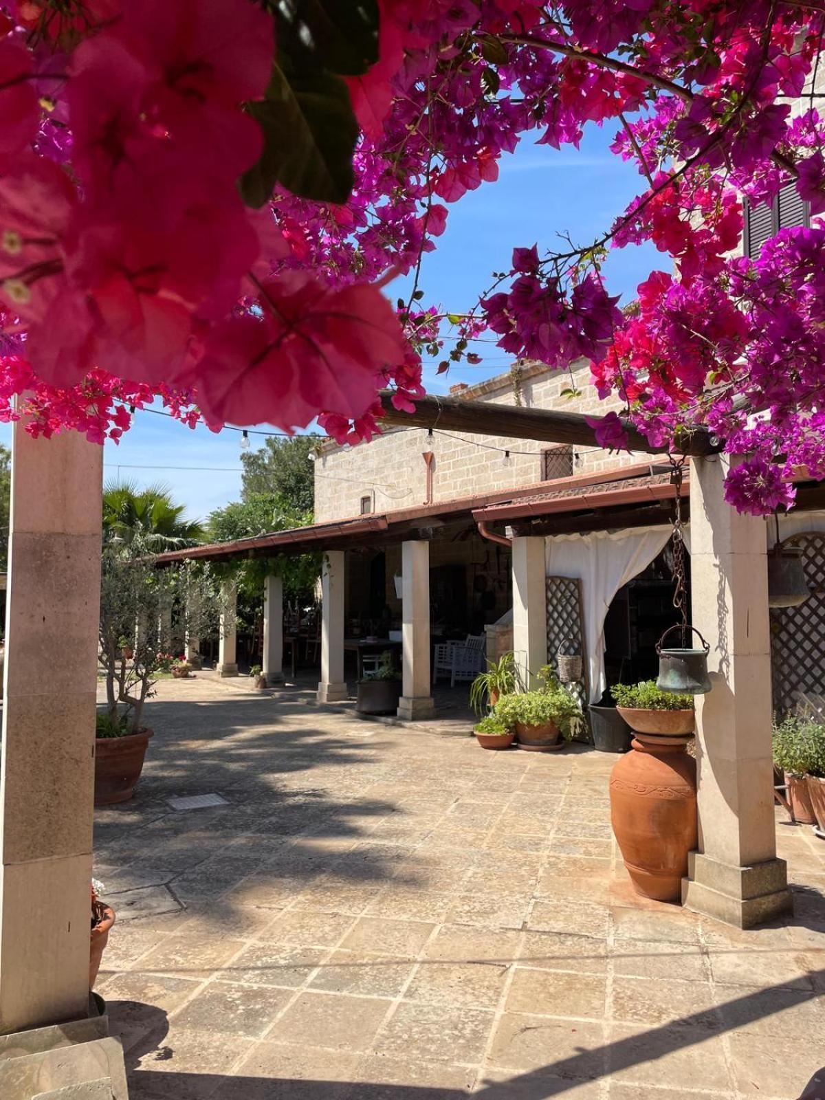 Farm stay Masseria Scianne *